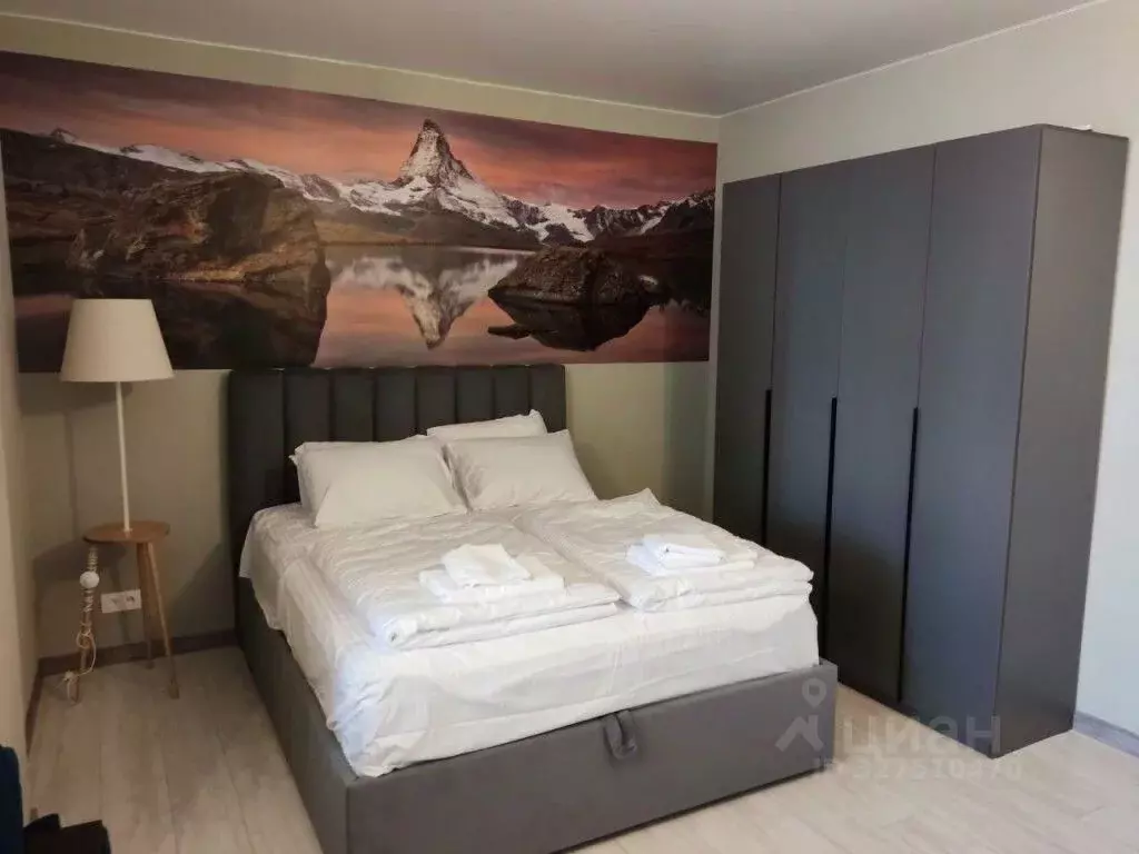 Студия Тверская область, Тверь ул. Коминтерна, 91 (33.1 м) - Фото 1