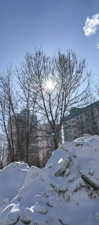 Студия Новосибирская область, Новосибирск ул. Татьяны Снежиной, 39/1 ... - Фото 2