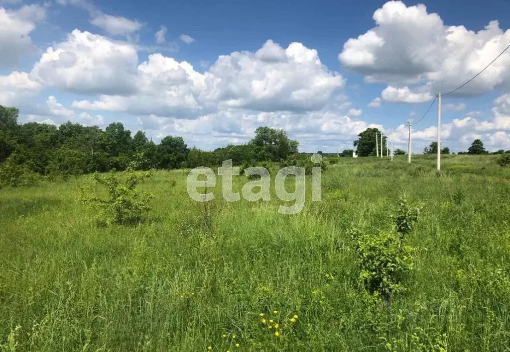 Участок в Калужская область, Ферзиковский муниципальный округ, ... - Фото 1