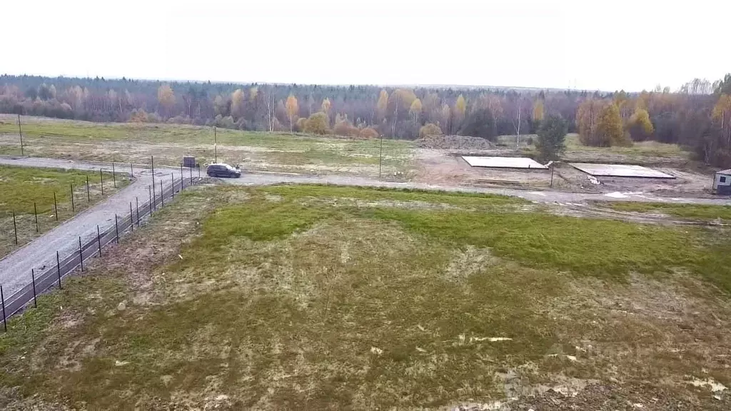 Участок в Ленинградская область, Ломоносовский район, д. Низино  (7.68 ... - Фото 1