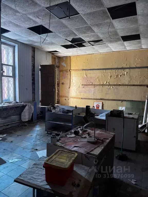 Помещение свободного назначения в Владимирская область, Собинка ... - Фото 1
