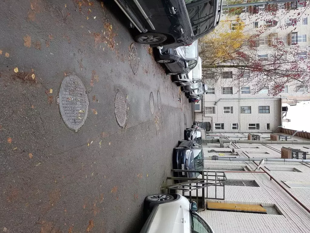 Помещение свободного назначения в Санкт-Петербург Скобелевский просп., ... - Фото 2