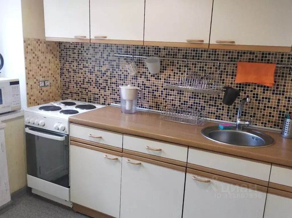 2-к кв. Новосибирская область, Новосибирск Красный просп., 67А (43.0 ... - Фото 0