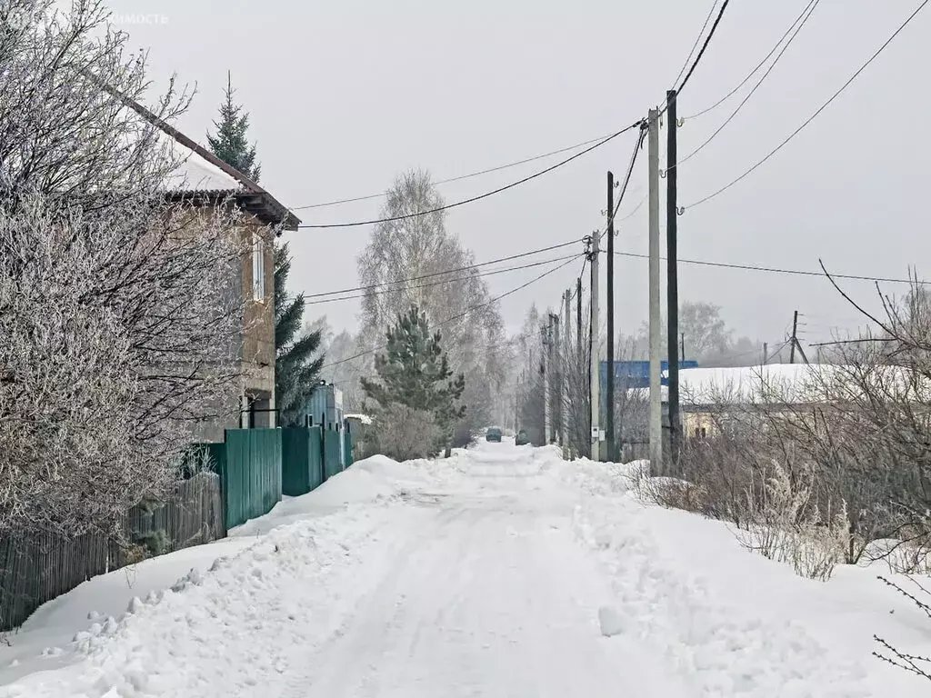 Участок в Омск, посёлок Светлый (6.15 м) - Фото 2