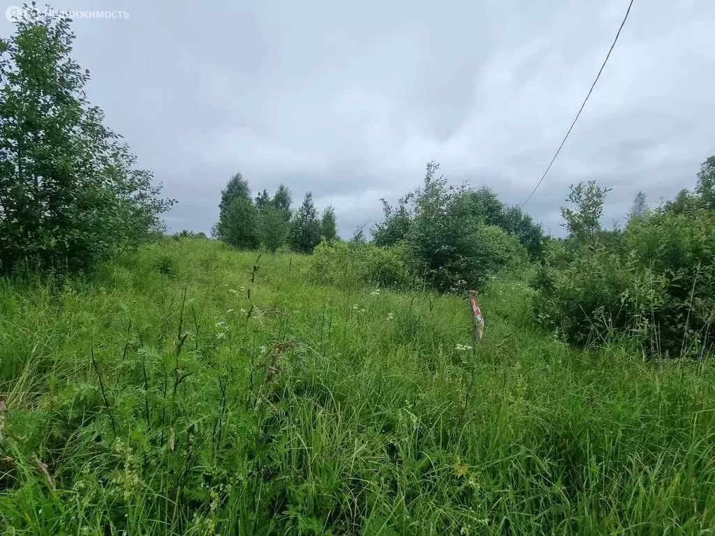 Участок в Вологодская область, Череповецкий муниципальный округ, село ... - Фото 1