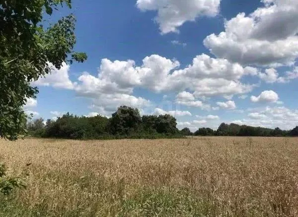 Участок в Белгородская область, Новооскольский муниципальный округ, с. ... - Фото 1