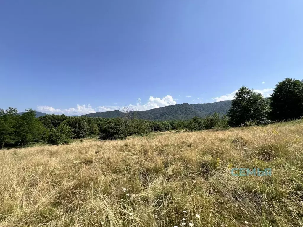 Участок в Северная Осетия, Владикавказ Иристон СТ, ул. Тибская (4.88 ... - Фото 2