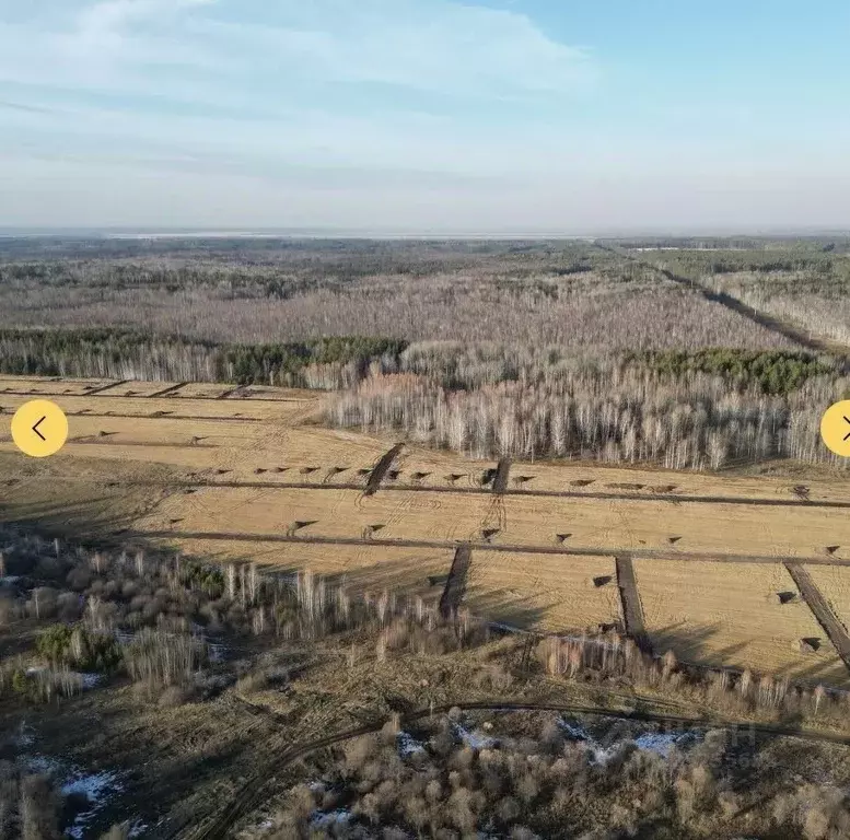 Участок в Свердловская область, Тугулымский муниципальный округ, ... - Фото 2