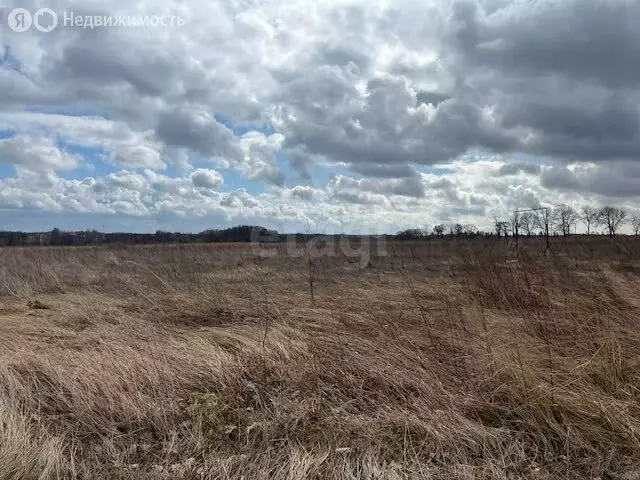 Участок в Калининградская область, Зеленоградский муниципальный округ, ... - Фото 2
