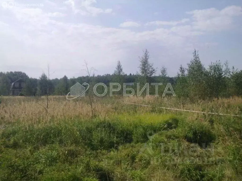 Участок в Тюменский муниципальный округ, село Ембаево (10 м) - Фото 1