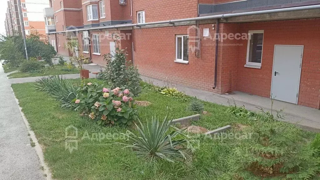 2-к кв. Волгоградская область, Волгоград Санаторная ул., 16 (58.3 м) - Фото 1