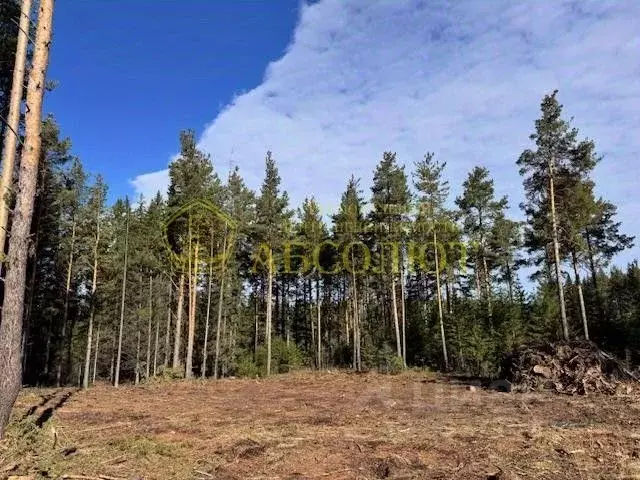 Участок в Свердловская область, Ревда ул. Облепиховая (10.0 сот.) - Фото 2