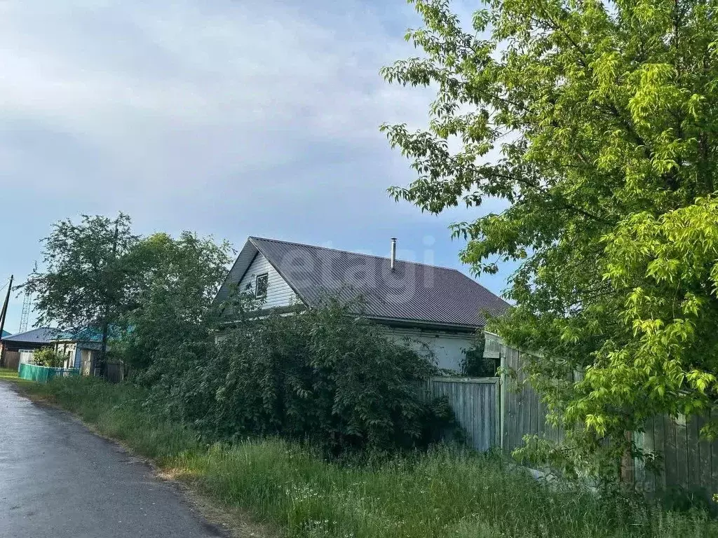 Дом в Курганская область, Каргапольский муниципальный округ, с. Чаши ... - Фото 1