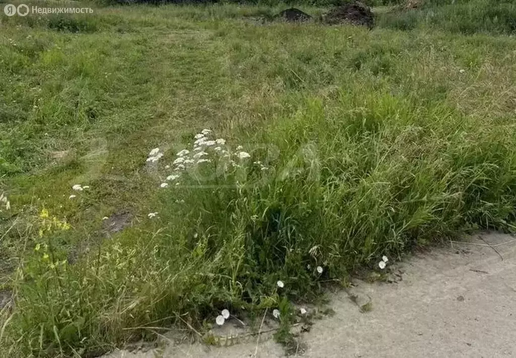 Участок в Исетский район, село Шорохово (15 м) - Фото 1