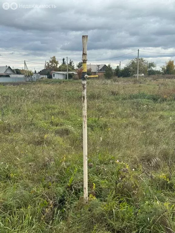Участок в Омская область, Азовский немецкий район, деревня Круч, ... - Фото 0