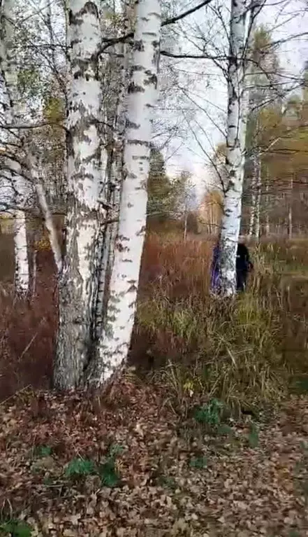 Участок в Нижегородская область, Дивеевский муниципальный округ, с. ... - Фото 0