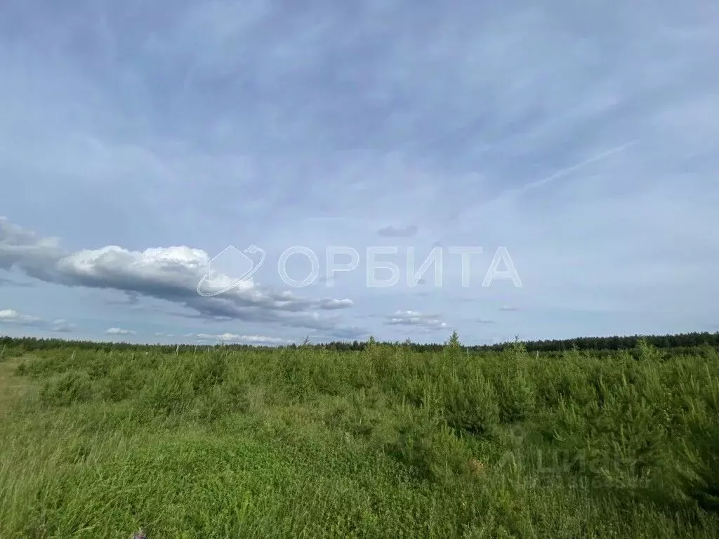 Участок в Свердловская область, Тугулым пгт пл. 50-летия Октября (16.0 ... - Фото 0