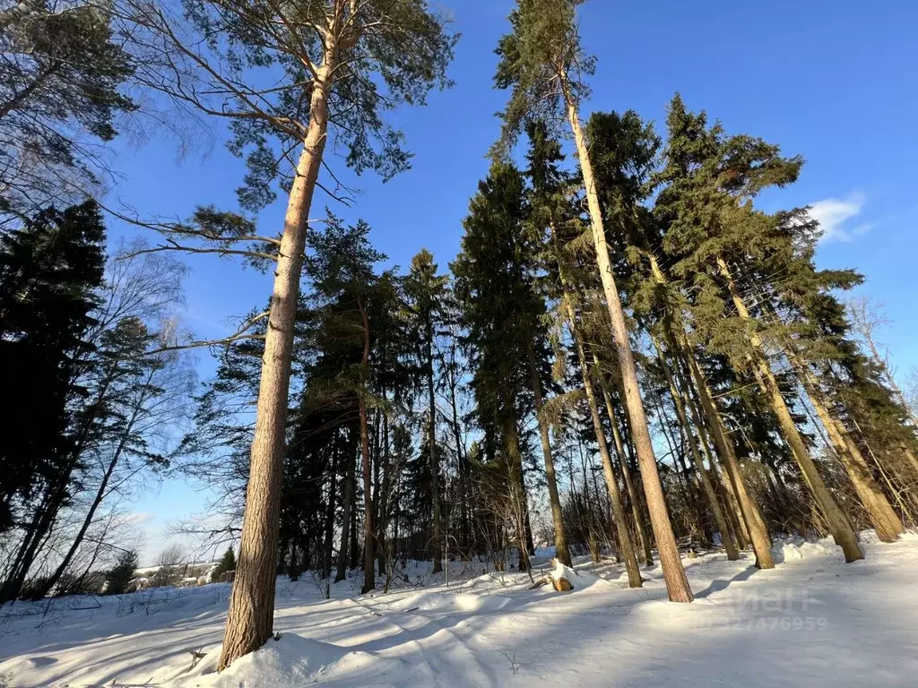 Участок в Московская область, Одинцовский городской округ, д. ... - Фото 2