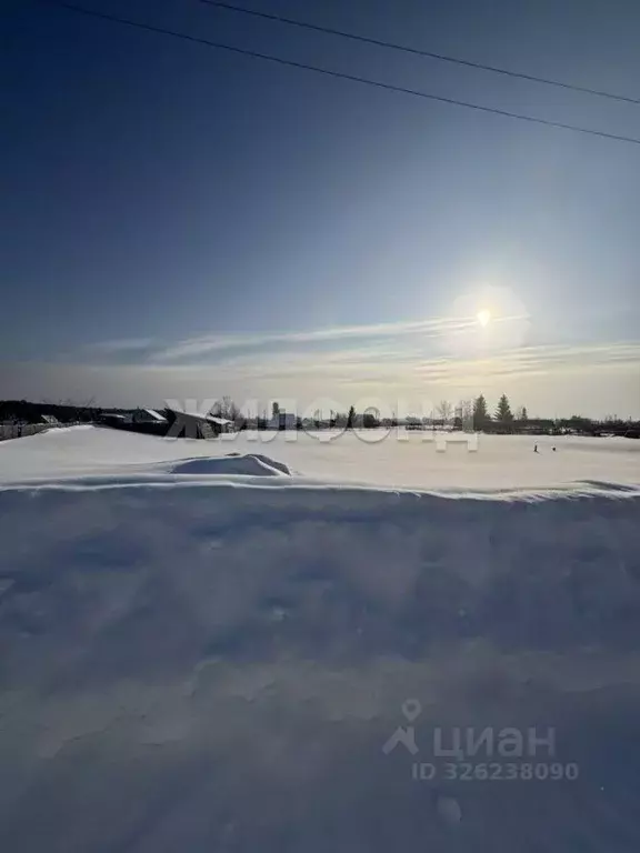 Участок в Новосибирская область, Ордынский район, пос. Чернаково ул. ... - Фото 2
