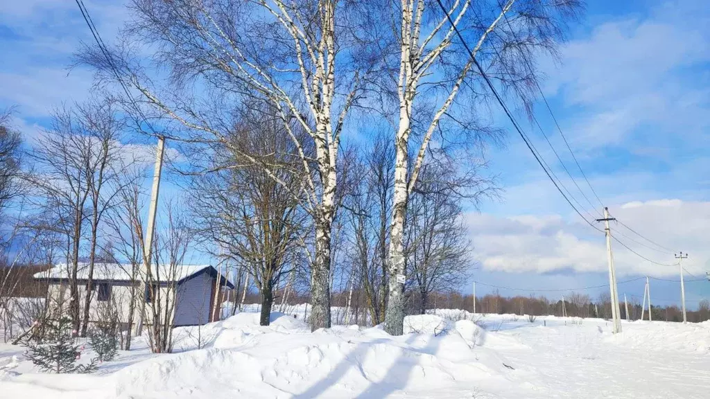 Участок в Владимирская область, Александровский район, Андреевское ... - Фото 1