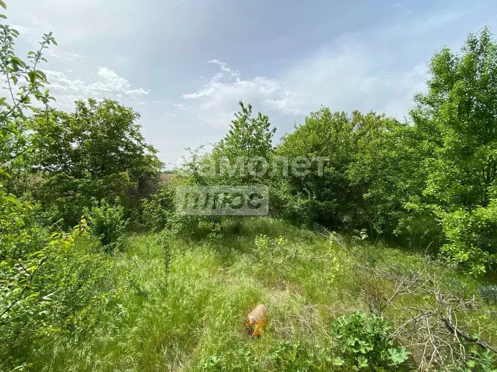 Участок в Ростовская область, Азовский район, с. Самарское  (6.5 сот.) - Фото 1