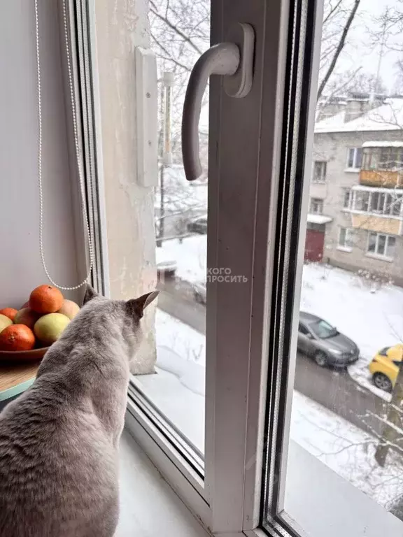 2-к кв. Санкт-Петербург, Санкт-Петербург, Петергоф Озерковая ул., 15 ... - Фото 2