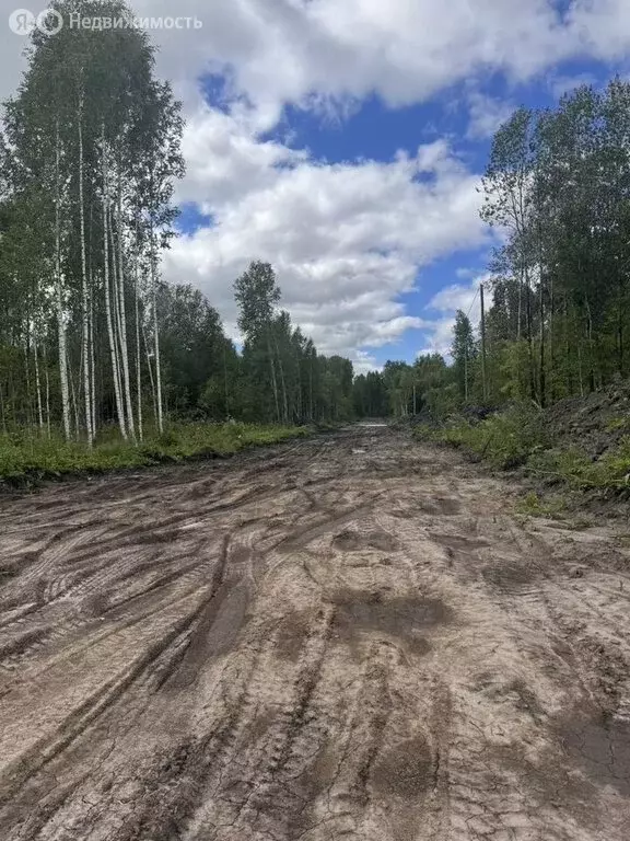 Участок в Тобольск, квартал Дом Отдыха (6.5 м) - Фото 1