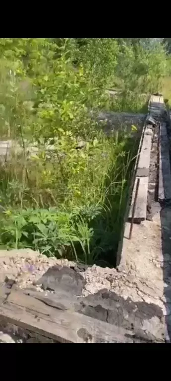 Участок в Калужская область, Кондрово Дзержинский район,  (10.0 сот.) - Фото 2