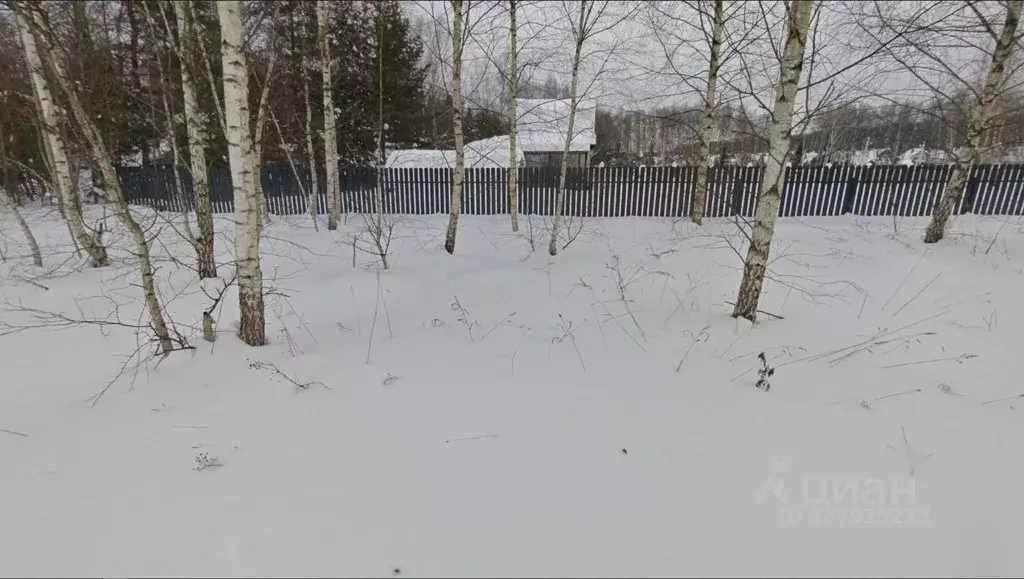 Участок в Московская область, Ленинский городской округ, д. Большое ... - Фото 1