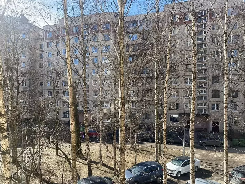 3-комнатная квартира: Санкт-Петербург, проспект Луначарского, 70к3 ... - Фото 1