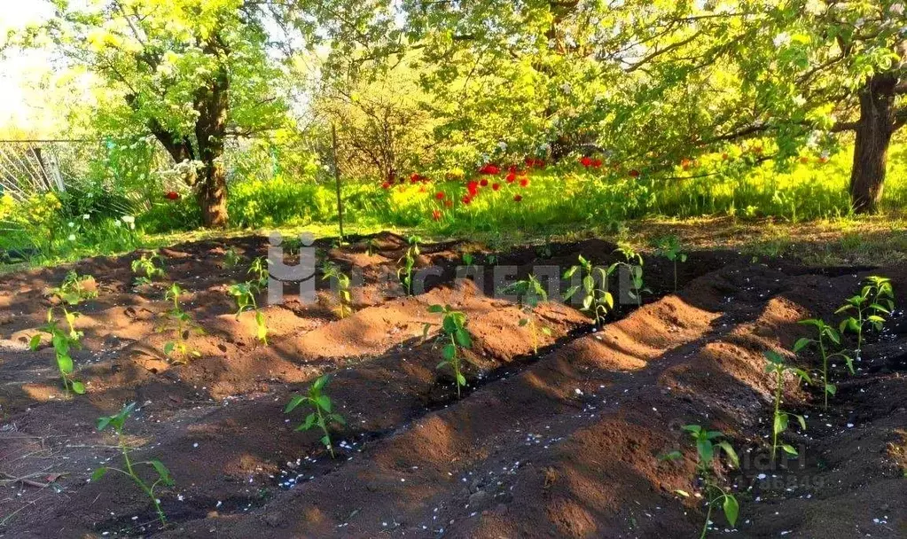 участок в ростовская область, таганрог атх-2 садовое товарищество, . - Фото 0