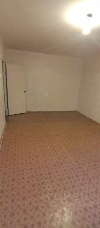 2-к кв. Воронежская область, Воронеж ул. Моисеева, 51 (54.0 м) - Фото 2