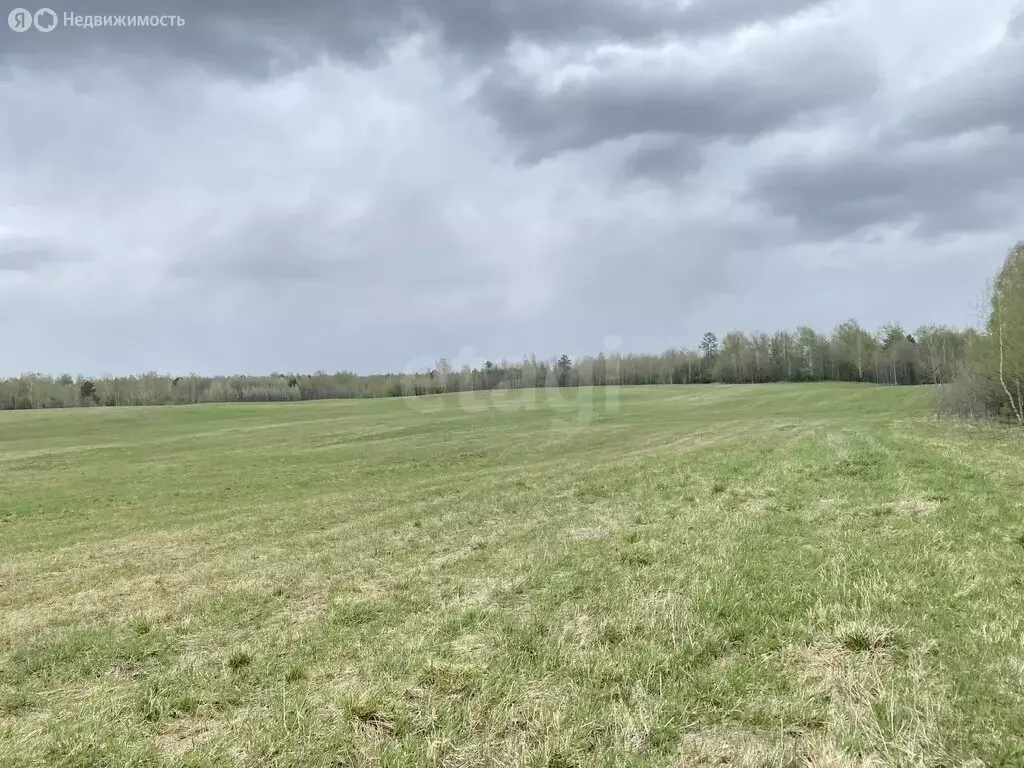 Участок в Томский район, село Корнилово (150 м) - Фото 1