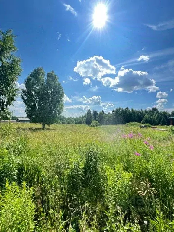 Участок в Удмуртия, Завьяловский район, д. Крестовоздвиженское ул. ... - Фото 1