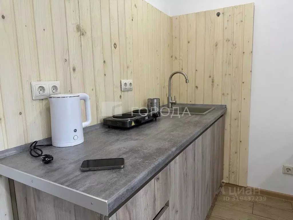 Студия Новосибирская область, Новосибирск Стрижи мкр, 1 (26.0 м) - Фото 1