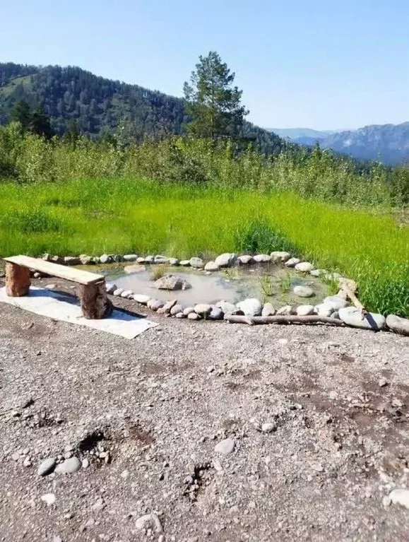 Участок в Алтай, Майминский район, Манжерокское с/пос, с. Озерное ул. ... - Фото 1