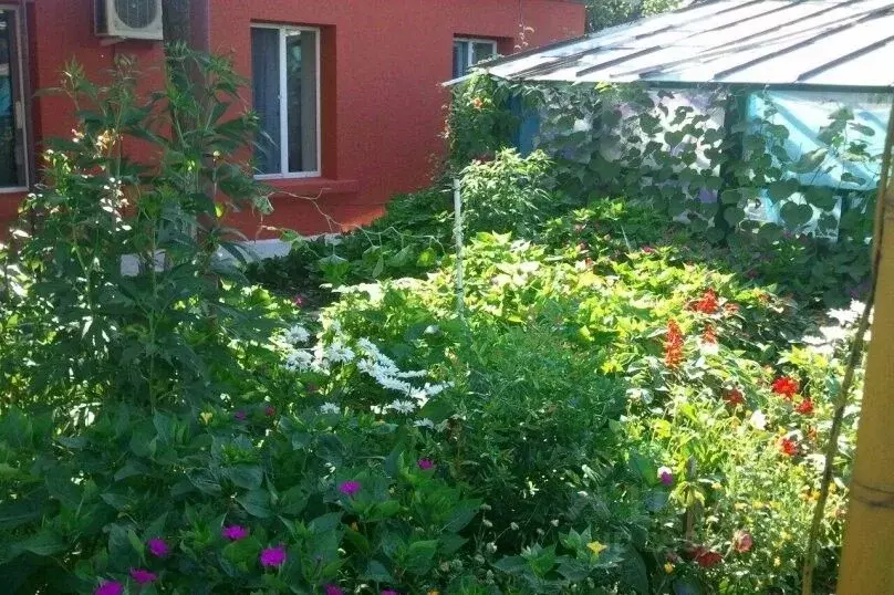 Дом в Севастополь ул. Уральская, 7 (50 м) - Фото 1