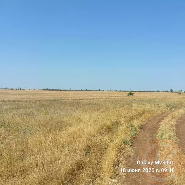 Участок в Крым, Черноморский район, с. Новоивановка  (200.0 сот.) - Фото 0