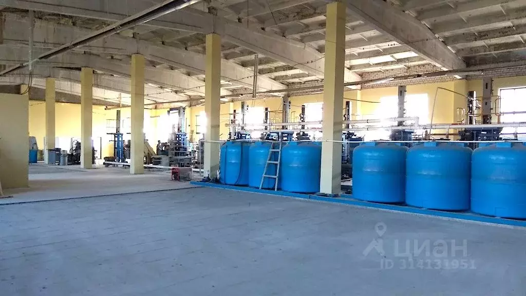 Производственное помещение в Смоленская область, Руднянский ... - Фото 1