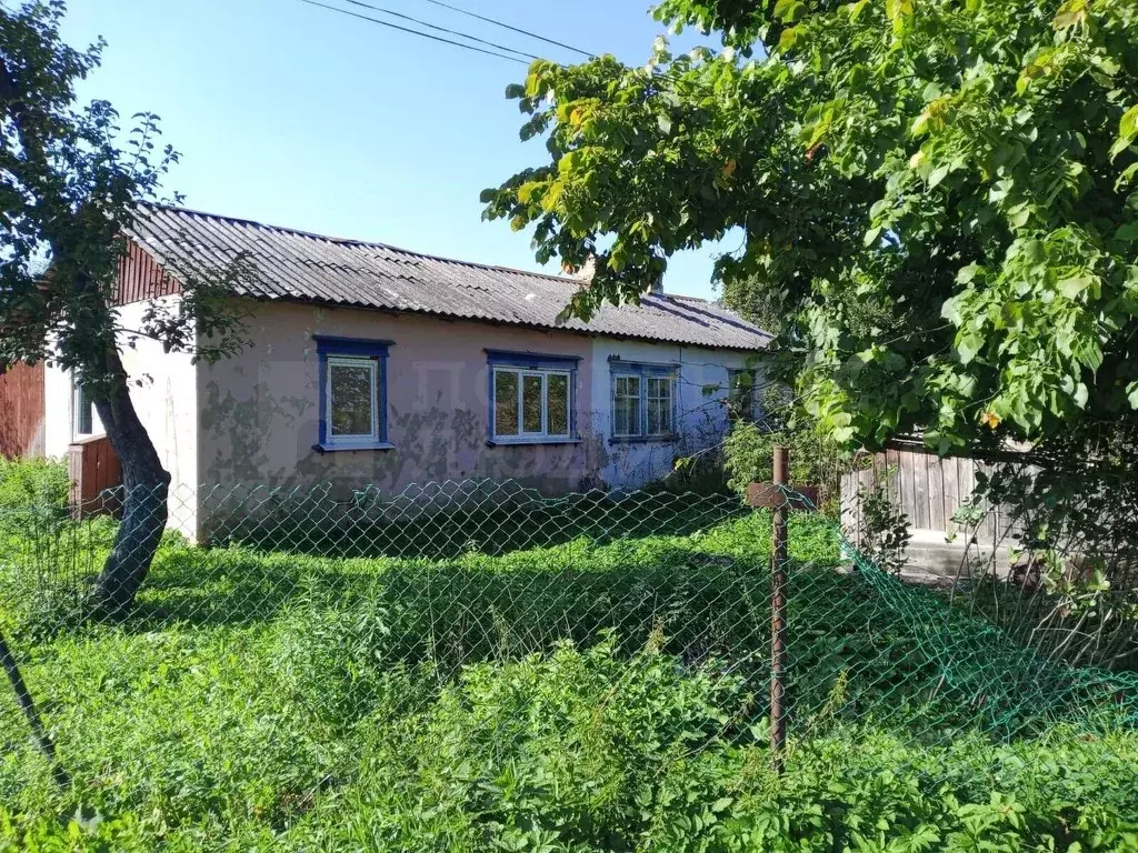 1-к кв. Новгородская область, Сольцы г. Солецкий муниципальный округ, ... - Фото 1