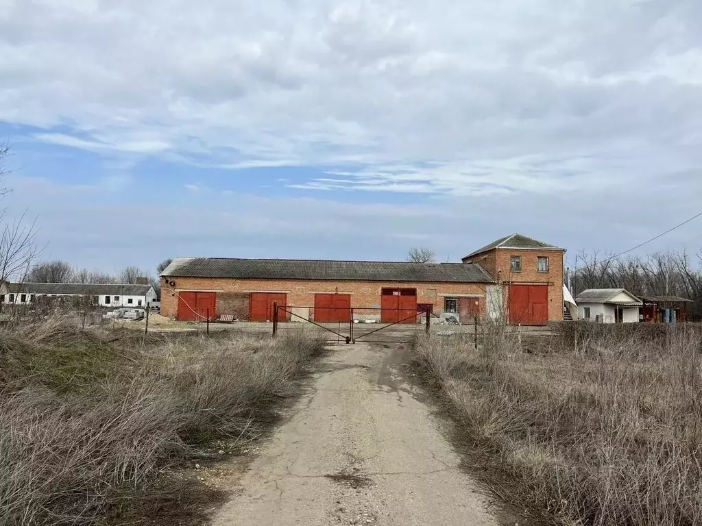 Производственное помещение в Краснодарский край, Кущевская ст-ца ул. ... - Фото 1