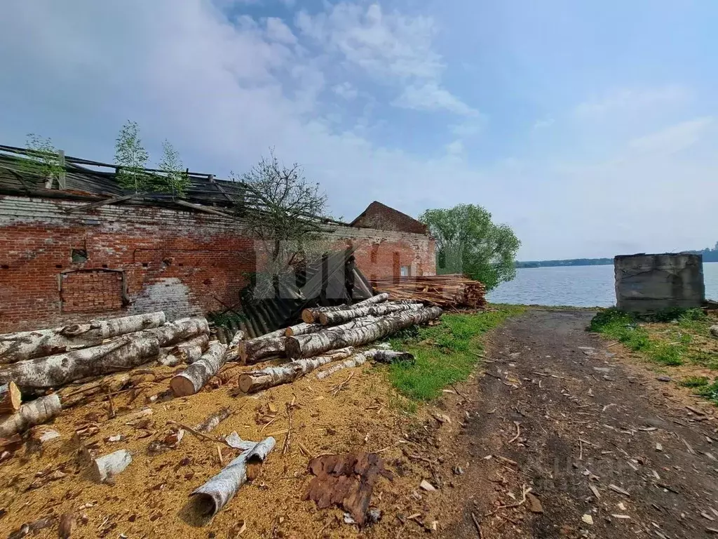 Производственное помещение в Вологодская область, с. Устье ул. ... - Фото 1