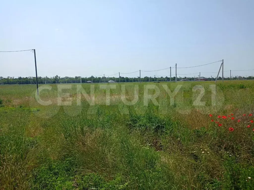 Участок 15 сот. (ИЖС) - Фото 1