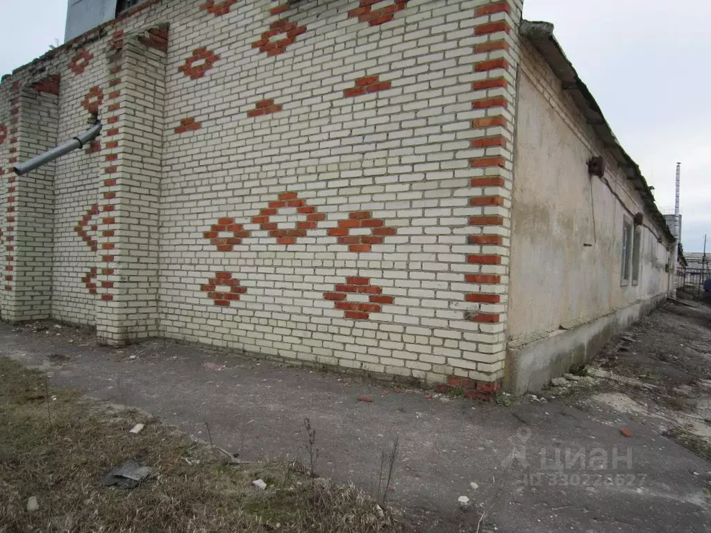 Помещение свободного назначения в Пензенская область, Городищенский ... - Фото 2