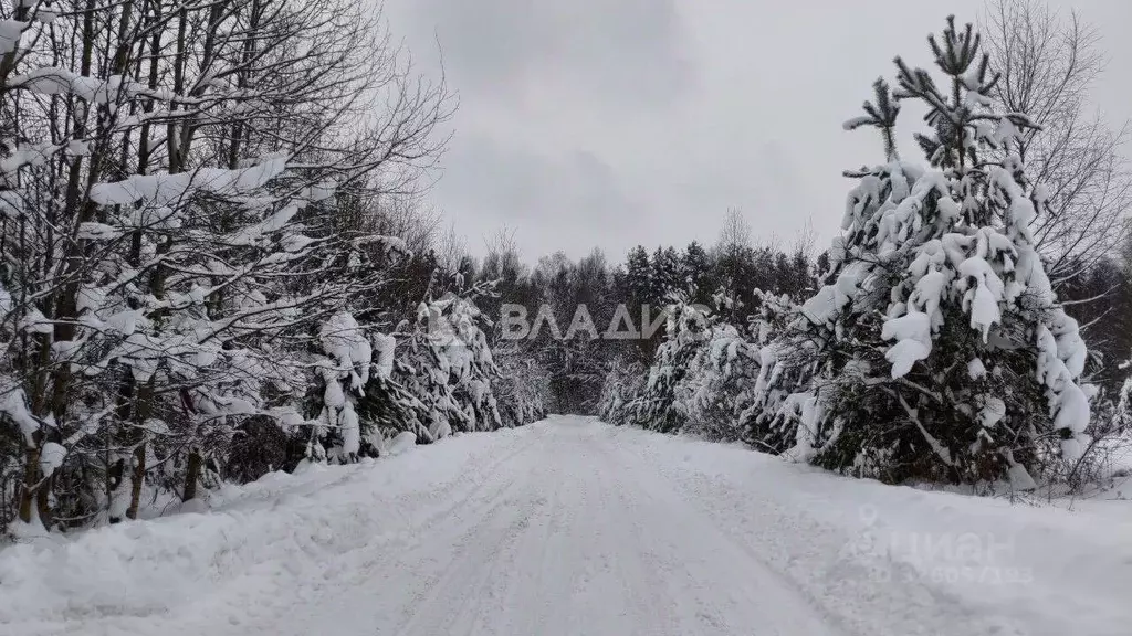 Участок в Владимирская область, Судогодский район, Барский луг ДНТ  ... - Фото 1