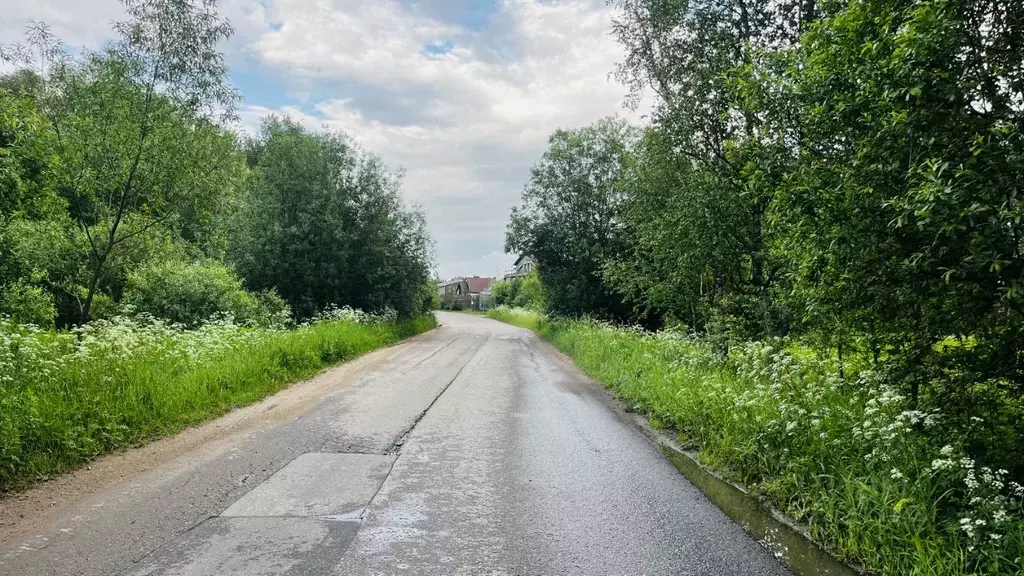 Участок в Московская область, Пушкинский городской округ, Софрино пгт ... - Фото 2