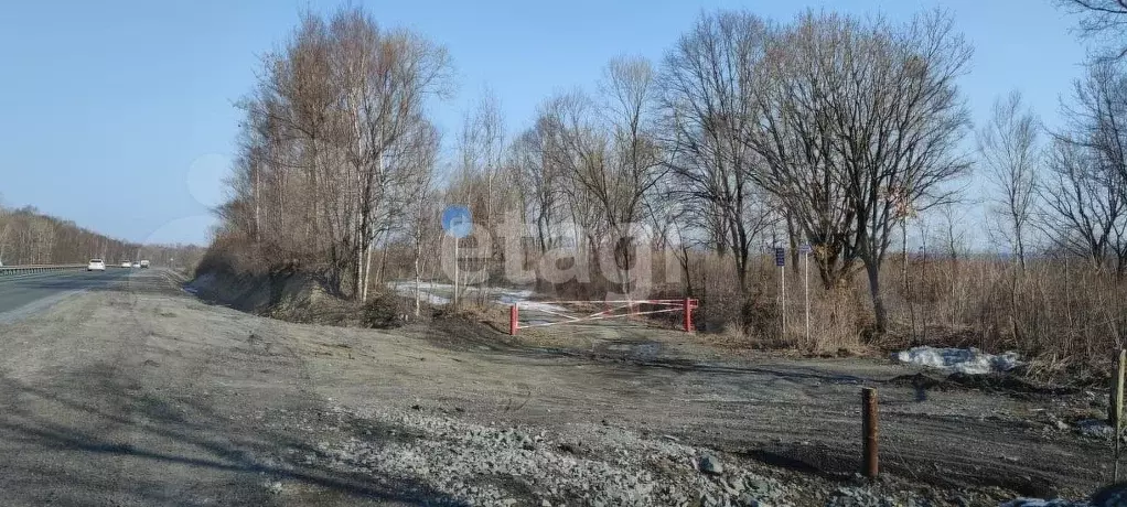 Участок 10 сот. (СНТ, ДНП) - Фото 0