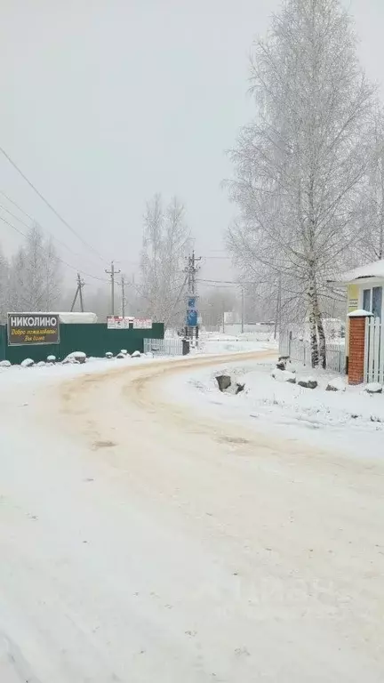 Участок в Владимирская область, Александровский район, Следневское ... - Фото 1