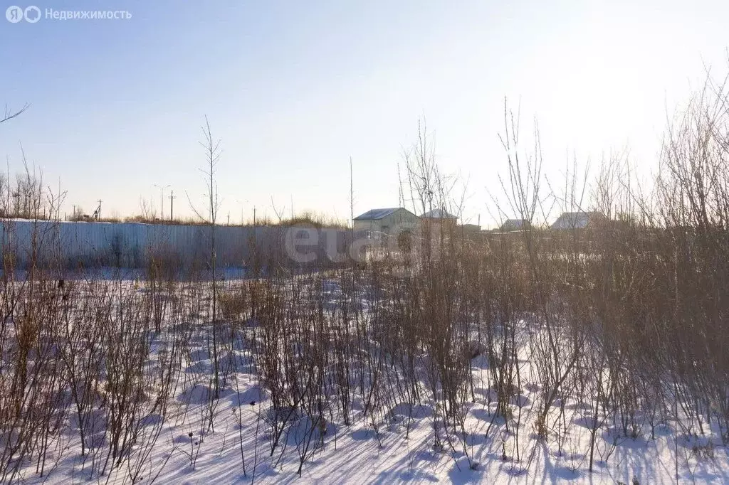 Участок в Тюмень, садовое товарищество Рябинка-2 (8 м) - Фото 1