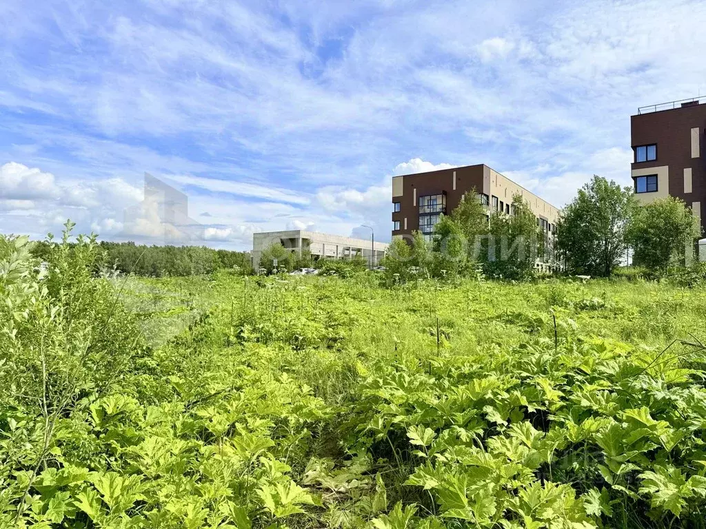 Участок в Московская область, Ленинский городской округ, д. Жабкино ... - Фото 1